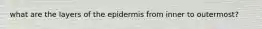 what are the layers of the epidermis from inner to outermost?