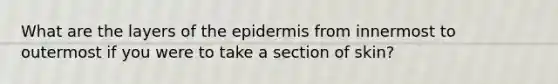 What are the layers of the epidermis from innermost to outermost if you were to take a section of skin?