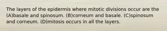 The layers of the epidermis where mitotic divisions occur are the (A)basale and spinosum. (B)corneum and basale. (C)spinosum and corneum. (D)mitosis occurs in all the layers.