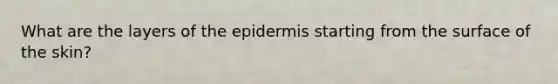 What are the layers of the epidermis starting from the surface of the skin?