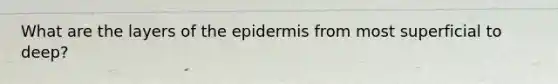 What are the layers of the epidermis from most superficial to deep?