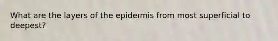 What are the layers of <a href='https://www.questionai.com/knowledge/kBFgQMpq6s-the-epidermis' class='anchor-knowledge'>the epidermis</a> from most superficial to deepest?