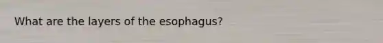 What are the layers of the esophagus?