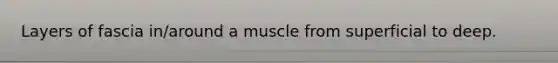 Layers of fascia in/around a muscle from superficial to deep.