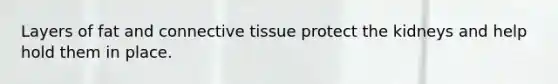 Layers of fat and connective tissue protect the kidneys and help hold them in place.