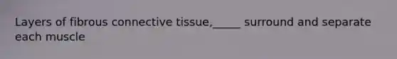 Layers of fibrous connective tissue,_____ surround and separate each muscle