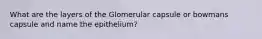 What are the layers of the Glomerular capsule or bowmans capsule and name the epithelium?