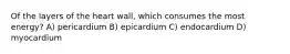 Of the layers of the heart wall, which consumes the most energy? A) pericardium B) epicardium C) endocardium D) myocardium