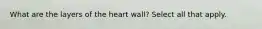 What are the layers of the heart wall? Select all that apply.