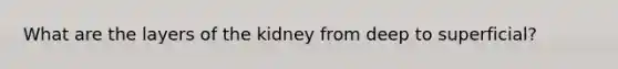 What are the layers of the kidney from deep to superficial?