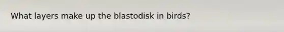 What layers make up the blastodisk in birds?