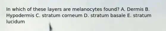 In which of these layers are melanocytes found? A. Dermis B. Hypodermis C. stratum corneum D. stratum basale E. stratum lucidum