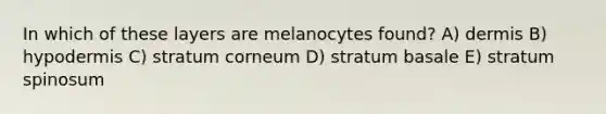 In which of these layers are melanocytes found? A) dermis B) hypodermis C) stratum corneum D) stratum basale E) stratum spinosum