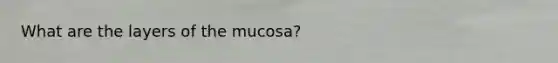 What are the layers of the mucosa?