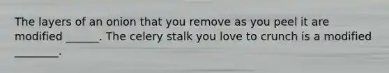 The layers of an onion that you remove as you peel it are modified ______. The celery stalk you love to crunch is a modified ________.