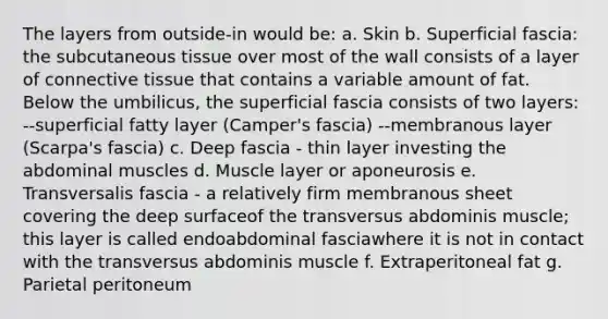 The layers from outside-in would be: a. Skin b. Superficial fascia: the subcutaneous tissue over most of the wall consists of a layer of connective tissue that contains a variable amount of fat. Below the umbilicus, the superficial fascia consists of two layers: --superficial fatty layer (Camper's fascia) --membranous layer (Scarpa's fascia) c. Deep fascia - thin layer investing the abdominal muscles d. Muscle layer or aponeurosis e. Transversalis fascia - a relatively firm membranous sheet covering the deep surfaceof the transversus abdominis muscle; this layer is called endoabdominal fasciawhere it is not in contact with the transversus abdominis muscle f. Extraperitoneal fat g. Parietal peritoneum