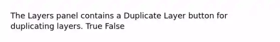 The Layers panel contains a Duplicate Layer button for duplicating layers. True False