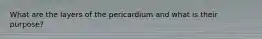 What are the layers of the pericardium and what is their purpose?