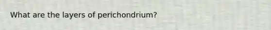 What are the layers of perichondrium?