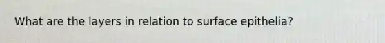 What are the layers in relation to surface epithelia?