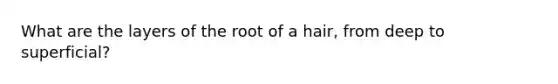 What are the layers of the root of a hair, from deep to superficial?