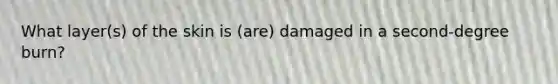 What layer(s) of the skin is (are) damaged in a second-degree burn?