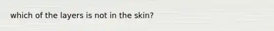 which of the layers is not in the skin?