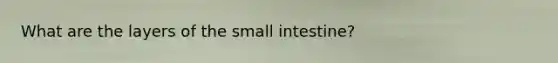 What are the layers of the small intestine?