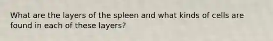 What are the layers of the spleen and what kinds of cells are found in each of these layers?