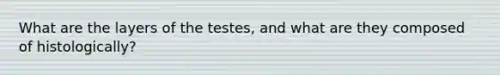 What are the layers of the testes, and what are they composed of histologically?