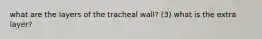 what are the layers of the tracheal wall? (3) what is the extra layer?