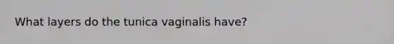 What layers do the tunica vaginalis have?