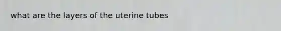 what are the layers of the uterine tubes