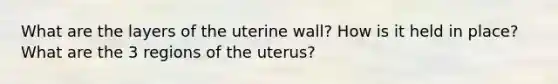 What are the layers of the uterine wall? How is it held in place? What are the 3 regions of the uterus?