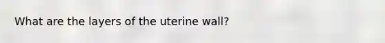 What are the layers of the uterine wall?