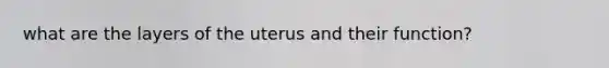 what are the layers of the uterus and their function?