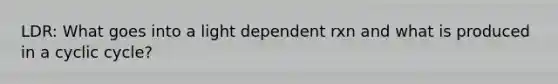 LDR: What goes into a light dependent rxn and what is produced in a cyclic cycle?