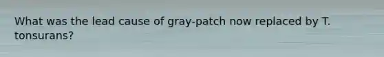 What was the lead cause of gray-patch now replaced by T. tonsurans?