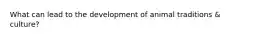 What can lead to the development of animal traditions & culture?