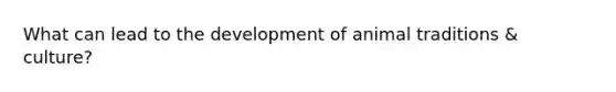 What can lead to the development of animal traditions & culture?