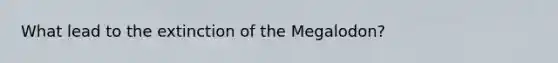 What lead to the extinction of the Megalodon?