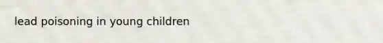 lead poisoning in young children