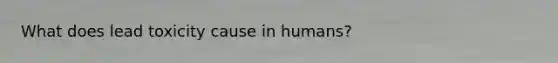 What does lead toxicity cause in humans?