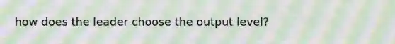 how does the leader choose the output level?