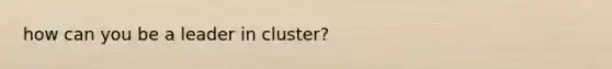 how can you be a leader in cluster?