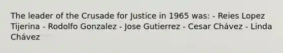 The leader of the Crusade for Justice in 1965 was: - Reies Lopez Tijerina - Rodolfo Gonzalez - Jose Gutierrez - Cesar Chávez - Linda Chávez