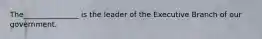 The_______________ is the leader of the Executive Branch of our government.