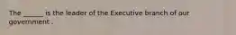 The ______ is the leader of the Executive branch of our government .