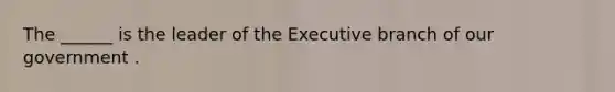 The ______ is the leader of the Executive branch of our government .