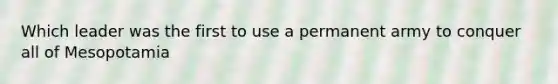 Which leader was the first to use a permanent army to conquer all of Mesopotamia